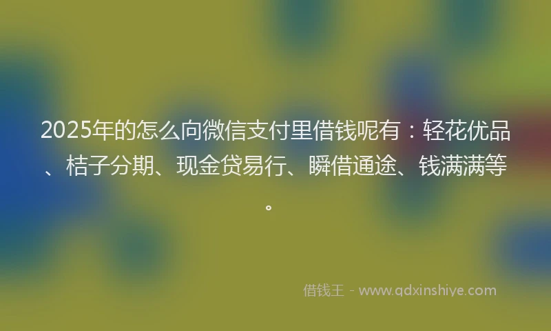 2025年的怎么向微信支付里借钱呢有:轻花优品、桔子分期、现金贷易行、瞬借通途、钱满满等。