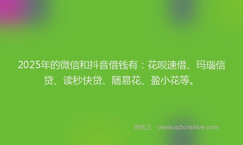 2025年的微信和抖音借钱有：花呗速借、玛瑙信贷、读秒快贷、随易花、盈小花等。