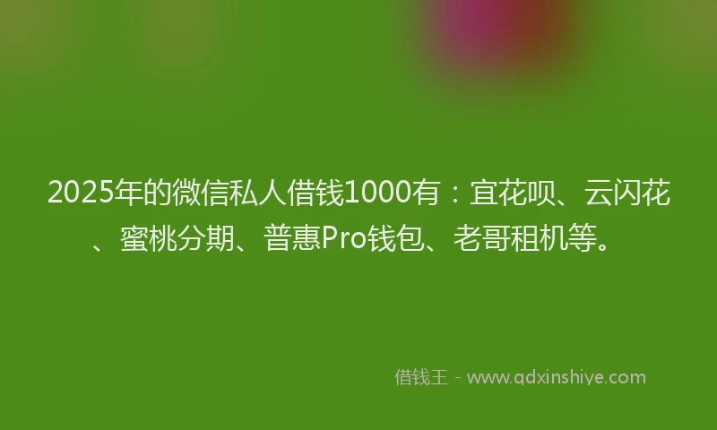 2025年的微信私人借钱1000有：宜花呗、云闪花、蜜桃分期、普惠Pro钱包、老哥租机等。