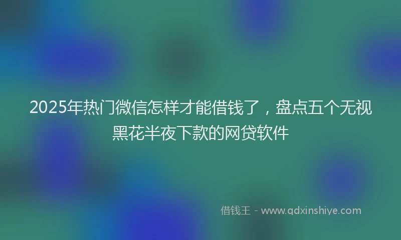 2025年热门微信怎样才能借钱了，盘点五个无视黑花半夜下款的网贷软件