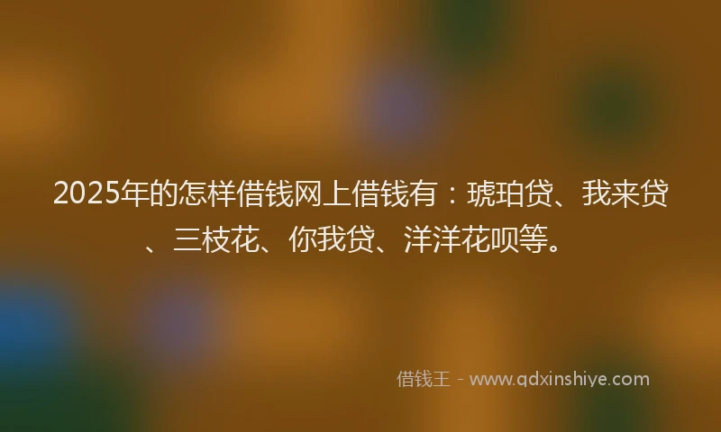 2025年的怎样借钱网上借钱有：琥珀贷、我来贷、三枝花、你我贷、洋洋花呗等。