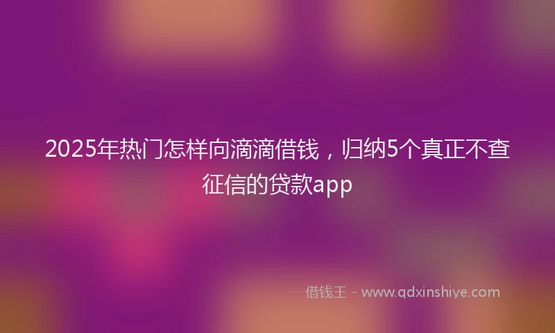2025年热门怎样向滴滴借钱，归纳5个真正不查征信的贷款app