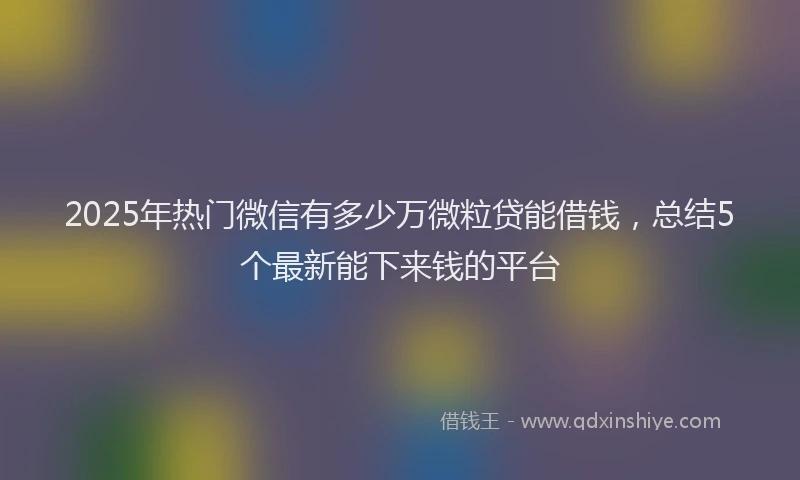 2025年热门微信有多少万微粒贷能借钱，总结5个最新能下来钱的平台