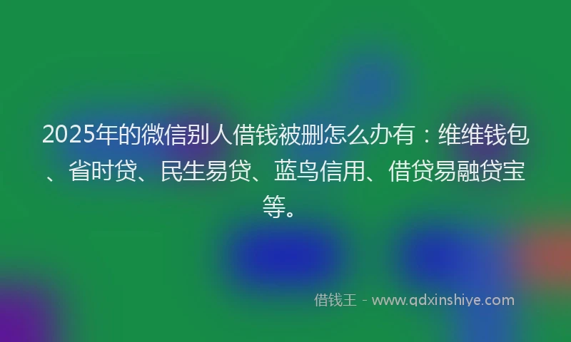 2025年的微信别人借钱被删怎么办有：维维钱包、省时贷、民生易贷、蓝鸟信用、借贷易融贷宝等。