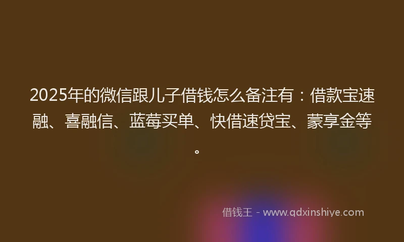 2025年的微信跟儿子借钱怎么备注有：借款宝速融、喜融信、蓝莓买单、快借速贷宝、蒙享金等。