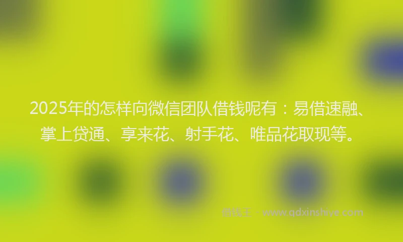 2025年的怎样向微信团队借钱呢有：易借速融、掌上贷通、享来花、射手花、唯品花取现等。