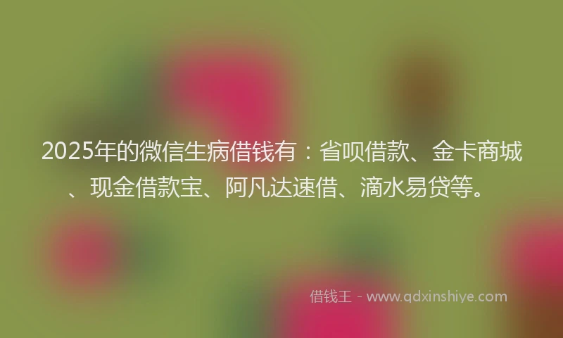 2025年的微信生病借钱有：省呗借款、金卡商城、现金借款宝、阿凡达速借、滴水易贷等。