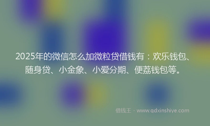 2025年的微信怎么加微粒贷借钱有：欢乐钱包、随身贷、小金象、小爱分期、便荔钱包等。