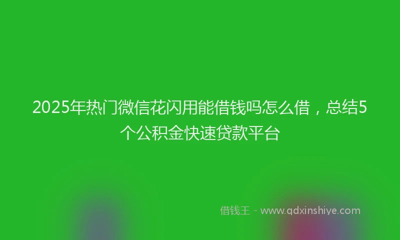 2025年热门微信花闪用能借钱吗怎么借，总结5个公积金快速贷款平台