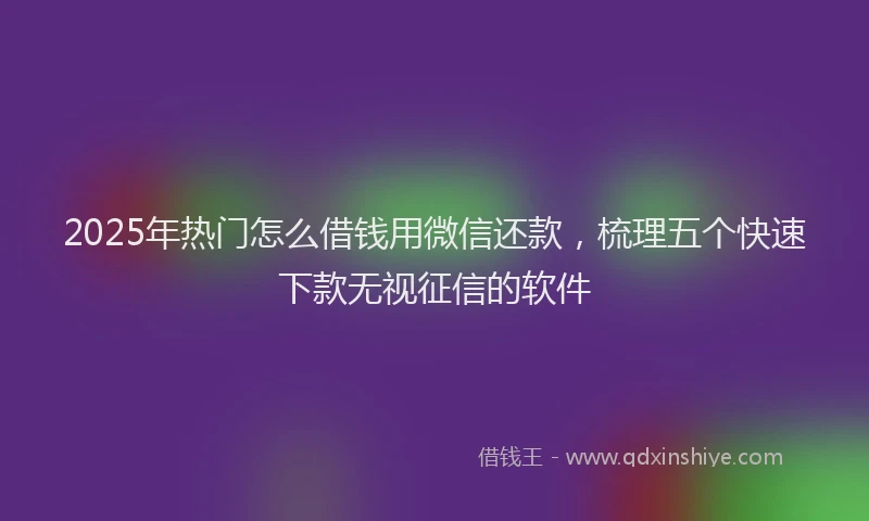 2025年热门怎么借钱用微信还款，梳理五个快速下款无视征信的软件