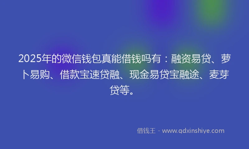 2025年的微信钱包真能借钱吗有：融资易贷、萝卜易购、借款宝速贷融、现金易贷宝融途、麦芽贷等。