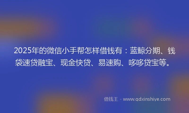 2025年的微信小手帮怎样借钱有：蓝鲸分期、钱袋速贷融宝、现金快贷、易速购、哆哆贷宝等。