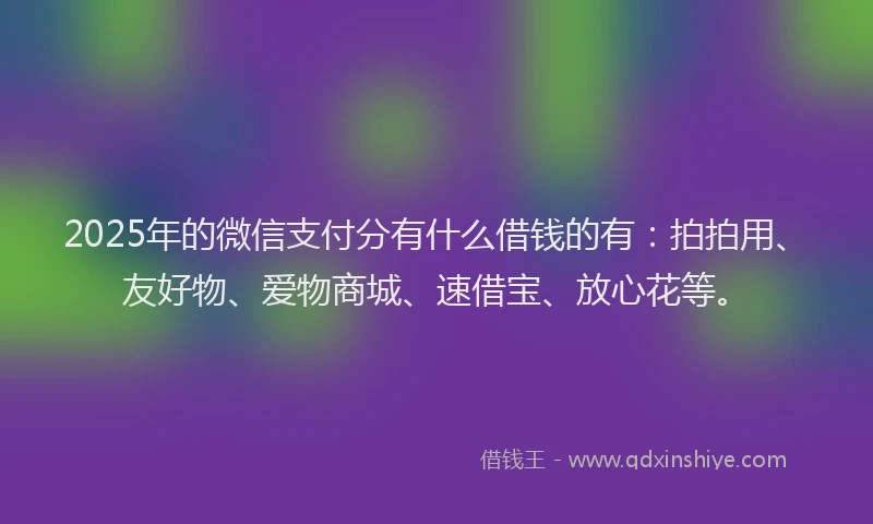 2025年的微信支付分有什么借钱的有：拍拍用、友好物、爱物商城、速借宝、放心花等。