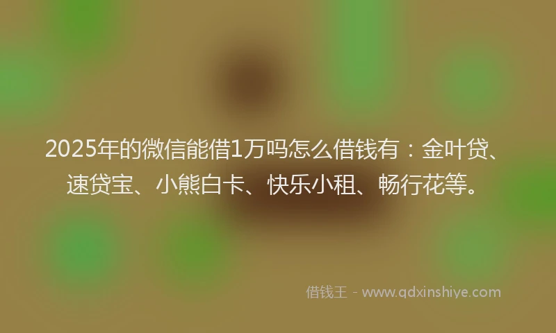 2025年的微信能借1万吗怎么借钱有：金叶贷、速贷宝、小熊白卡、快乐小租、畅行花等。