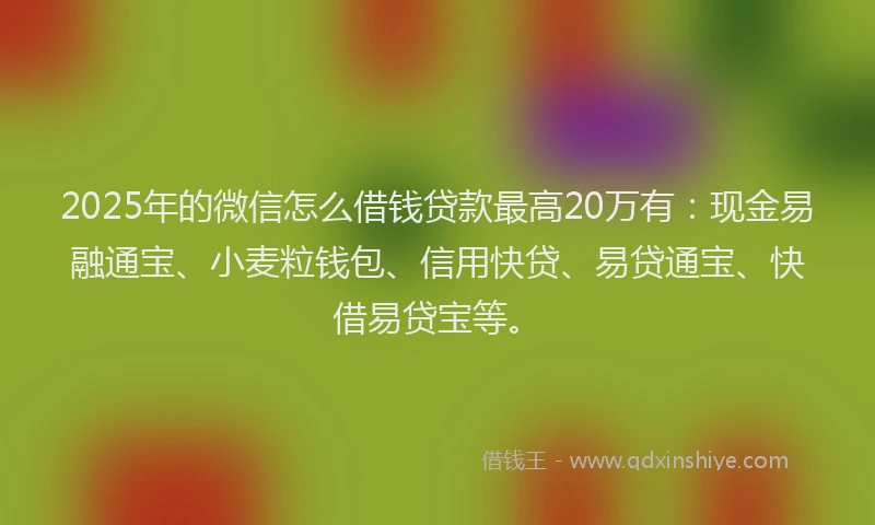 2025年的微信怎么借钱贷款最高20万有：现金易融通宝、小麦粒钱包、信用快贷、易贷通宝、快借易贷宝等。