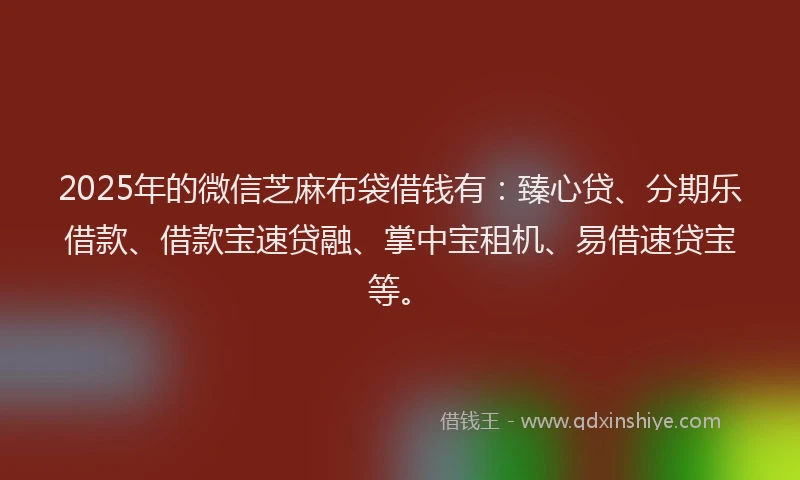 2025年的微信芝麻布袋借钱有：臻心贷、分期乐借款、借款宝速贷融、掌中宝租机、易借速贷宝等。