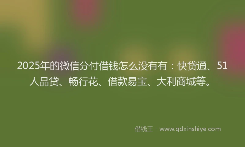 2025年的微信分付借钱怎么没有有：快贷通、51人品贷、畅行花、借款易宝、大利商城等。