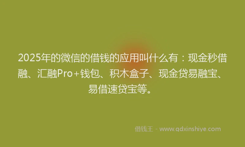 2025年的微信的借钱的应用叫什么有：现金秒借融、汇融Pro+钱包、积木盒子、现金贷易融宝、易借速贷宝等。