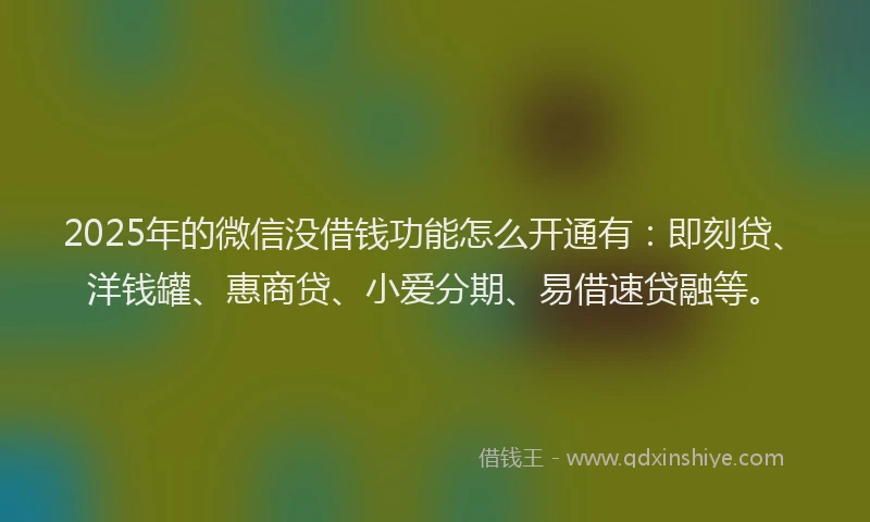 2025年的微信没借钱功能怎么开通有：即刻贷、洋钱罐、惠商贷、小爱分期、易借速贷融等。