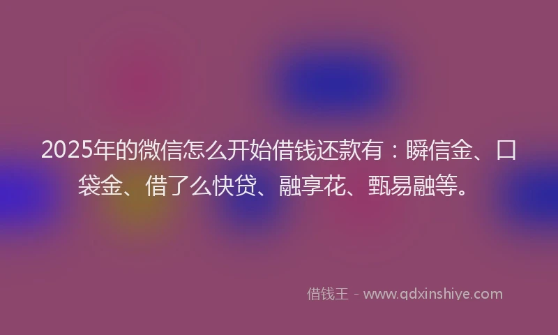 2025年的微信怎么开始借钱还款有：瞬信金、口袋金、借了么快贷、融享花、甄易融等。