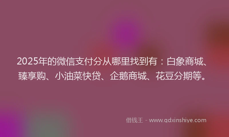 2025年的微信支付分从哪里找到有：白象商城、臻享购、小油菜快贷、企鹅商城、花豆分期等。