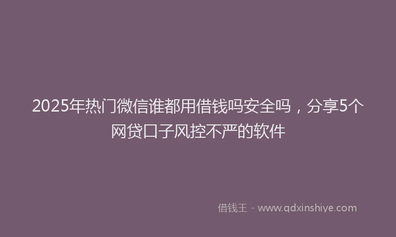 2025年热门微信谁都用借钱吗安全吗,分享5个网贷口子风控不严的软件