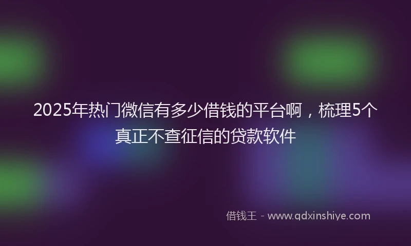 2025年热门微信有多少借钱的平台啊，梳理5个真正不查征信的贷款软件