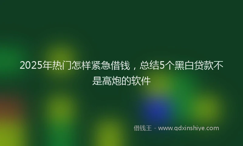 2025年热门怎样紧急借钱，总结5个黑白贷款不是高炮的软件