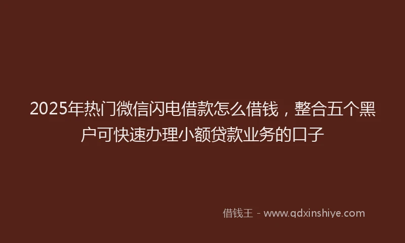 2025年热门微信闪电借款怎么借钱，整合五个黑户可快速办理小额贷款业务的口子