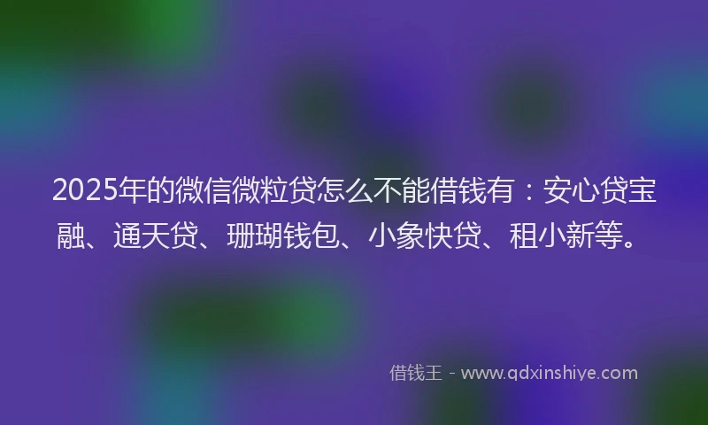 2025年的微信微粒贷怎么不能借钱有：安心贷宝融、通天贷、珊瑚钱包、小象快贷、租小新等。