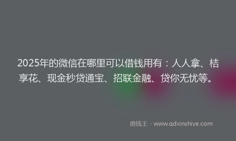 2025年的微信在哪里可以借钱用有：人人拿、桔享花、现金秒贷通宝、招联金融、贷你无忧等。