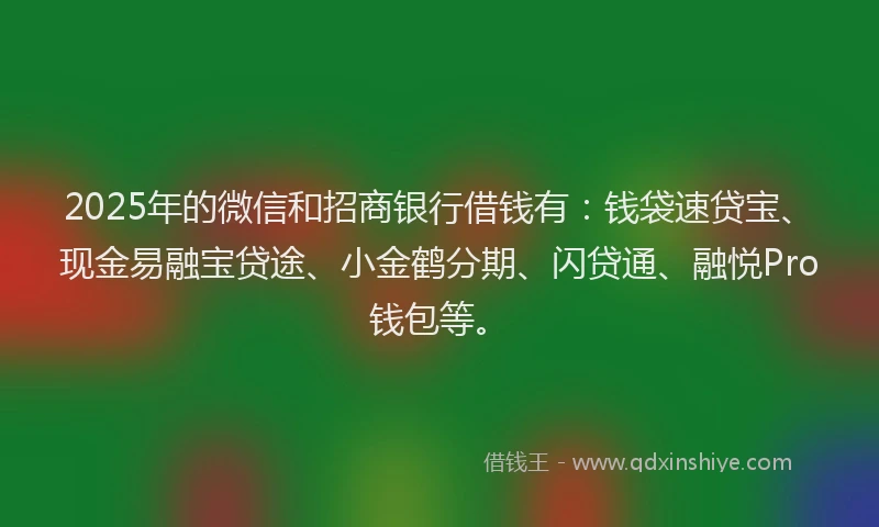2025年的微信和招商银行借钱有：钱袋速贷宝、现金易融宝贷途、小金鹤分期、闪贷通、融悦Pro钱包等。