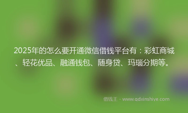 2025年的怎么要开通微信借钱平台有：彩虹商城、轻花优品、融通钱包、随身贷、玛瑙分期等。