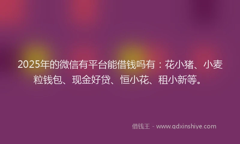 2025年的微信有平台能借钱吗有：花小猪、小麦粒钱包、现金好贷、恒小花、租小新等。