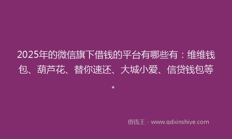 2025年的微信旗下借钱的平台有哪些有：维维钱包、葫芦花、替你速还、大城小爱、信贷钱包等。