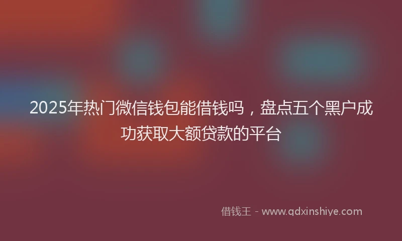 2025年热门微信钱包能借钱吗，盘点五个黑户成功获取大额贷款的平台