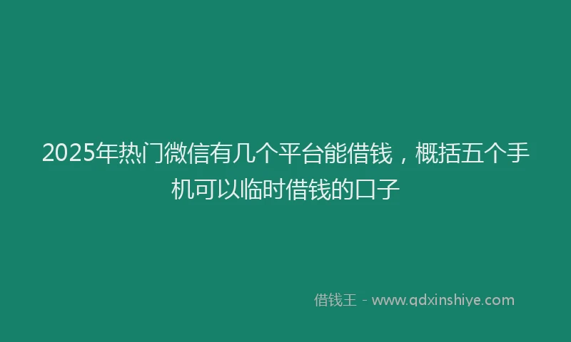 2025年热门微信有几个平台能借钱，概括五个手机可以临时借钱的口子