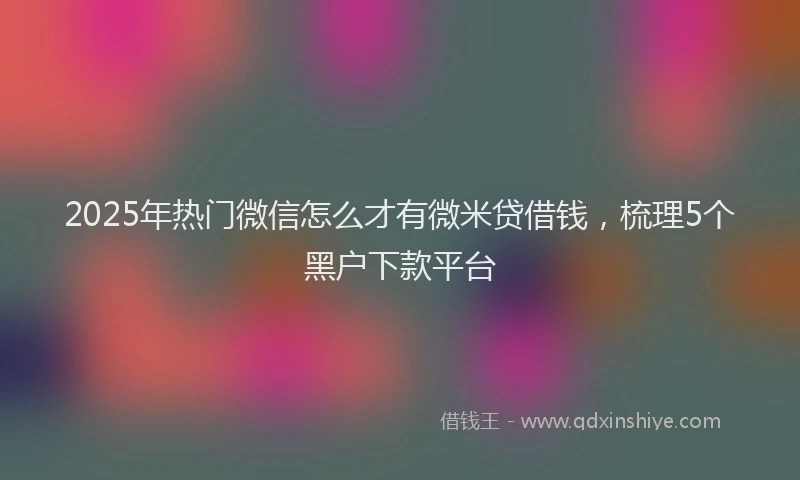 2025年热门微信怎么才有微米贷借钱，梳理5个黑户下款平台