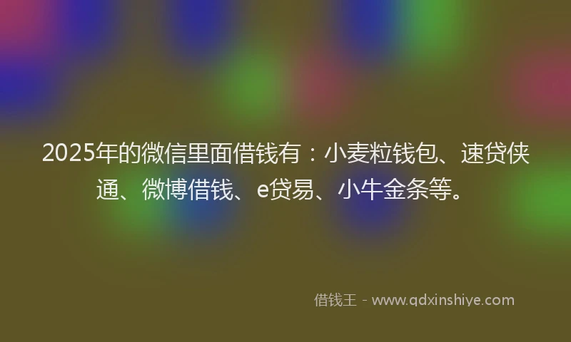 2025年的微信里面借钱有：小麦粒钱包、速贷侠通、微博借钱、e贷易、小牛金条等。