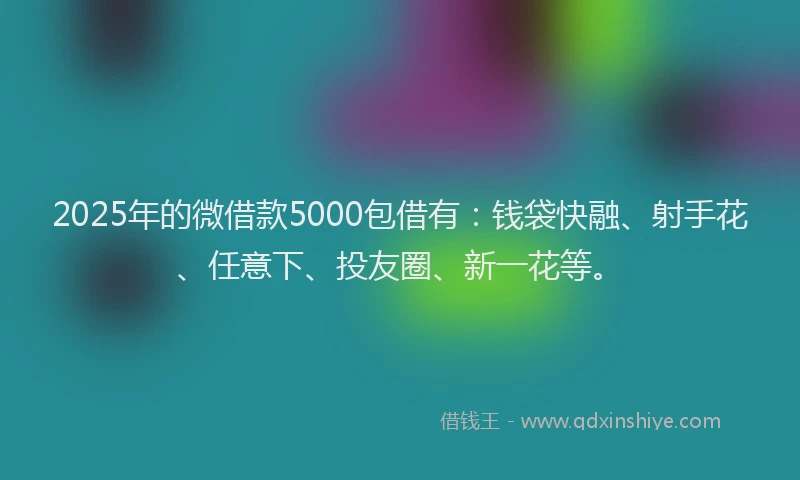 2025年的微借款5000包借有：钱袋快融、射手花、任意下、投友圈、新一花等。