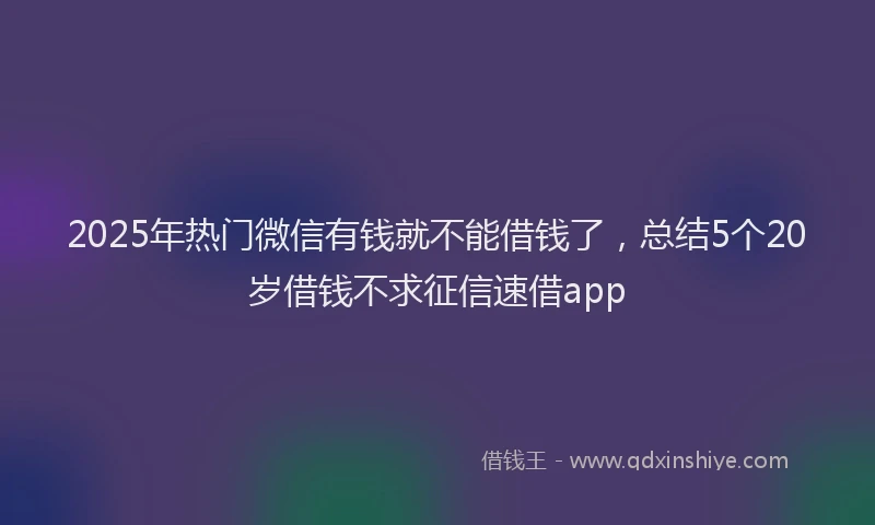 2025年热门微信有钱就不能借钱了，总结5个20岁借钱不求征信速借app
