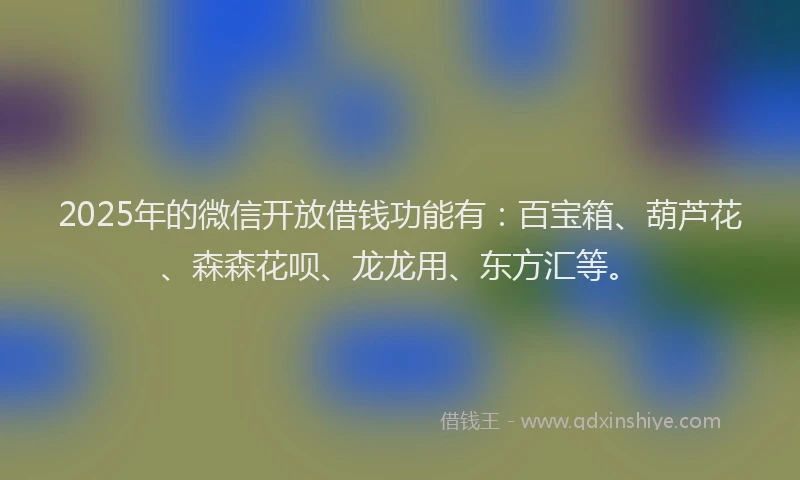 2025年的微信开放借钱功能有：百宝箱、葫芦花、森森花呗、龙龙用、东方汇等。