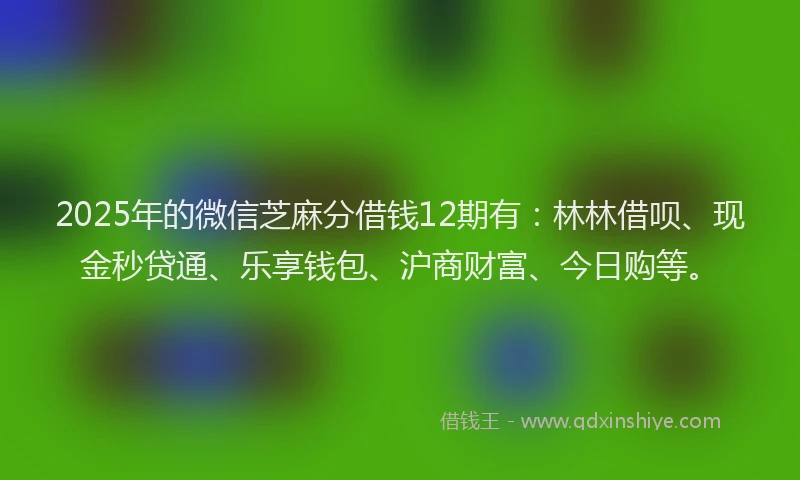 2025年的微信芝麻分借钱12期有：林林借呗、现金秒贷通、乐享钱包、沪商财富、今日购等。