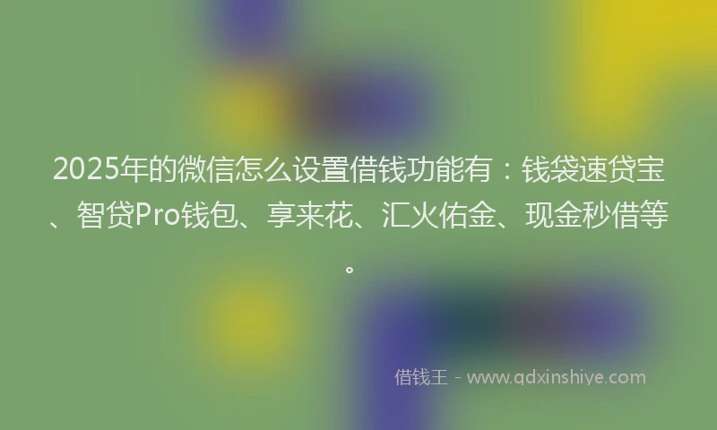 2025年的微信怎么设置借钱功能有：钱袋速贷宝、智贷Pro钱包、享来花、汇火佑金、现金秒借等。