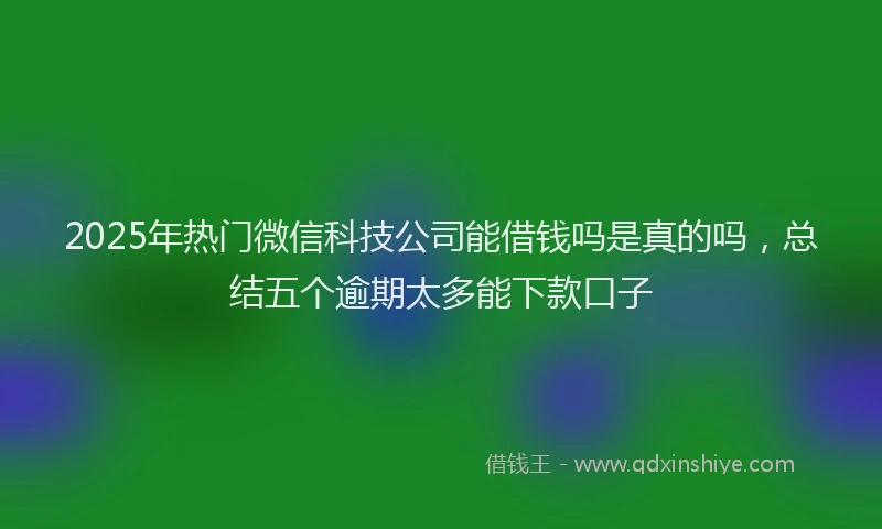 2025年热门微信科技公司能借钱吗是真的吗，总结五个逾期太多能下款口子