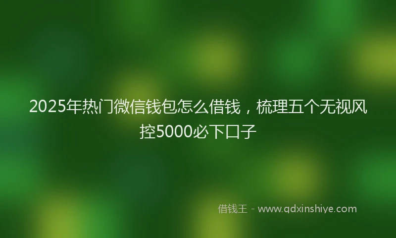 2025年热门微信钱包怎么借钱，梳理五个无视风控5000必下口子