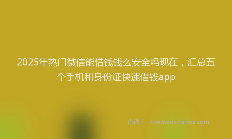 2025年热门微信能借钱钱么安全吗现在，汇总五个手机和身份证快速借钱app