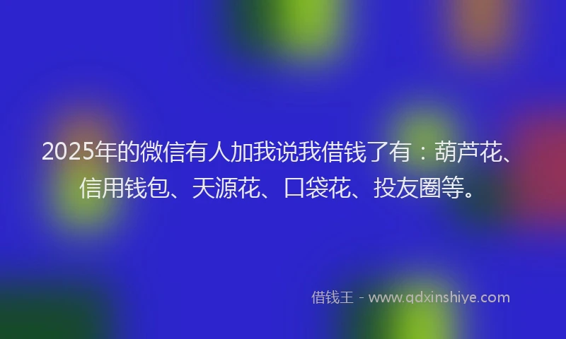 2025年的微信有人加我说我借钱了有：葫芦花、信用钱包、天源花、口袋花、投友圈等。