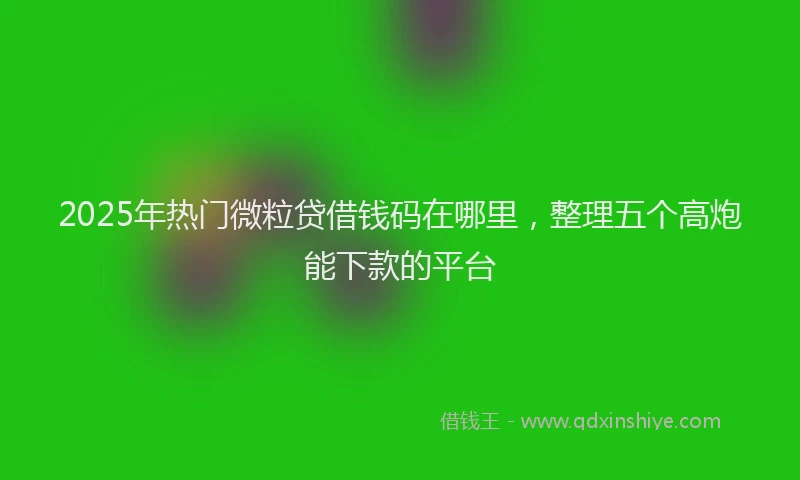 2025年热门微粒贷借钱码在哪里，整理五个高炮能下款的平台