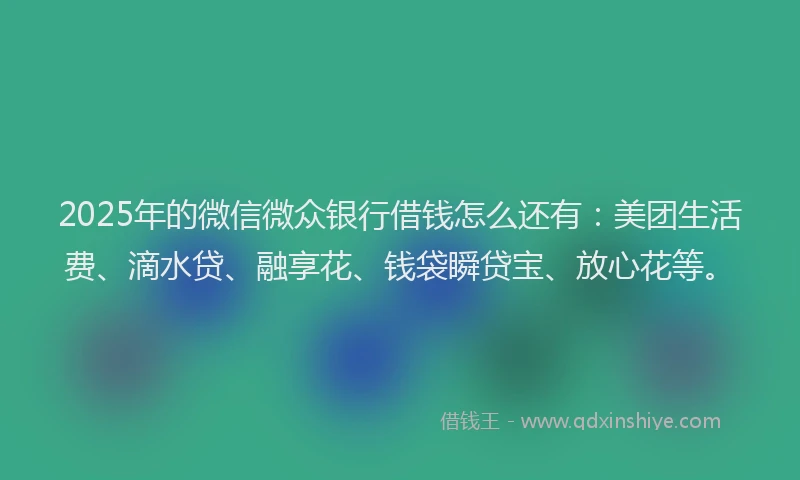 2025年的微信微众银行借钱怎么还有：美团生活费、滴水贷、融享花、钱袋瞬贷宝、放心花等。